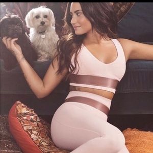 Pink Demi lavato fabletics limited edition set